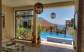 Montedreams Royal